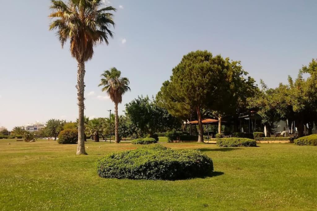 Lovely 1-Bedroom 2 Minutes From Beach Athene Buitenkant foto